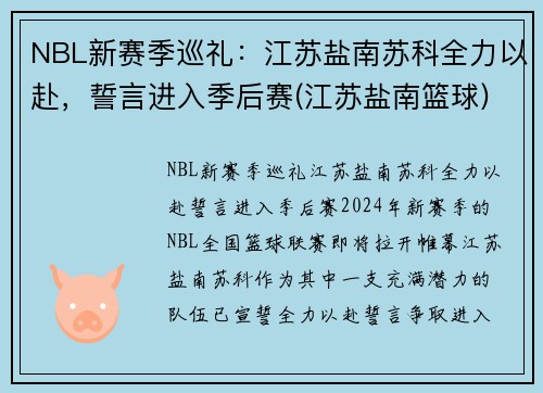 NBL新赛季巡礼：江苏盐南苏科全力以赴，誓言进入季后赛(江苏盐南篮球)